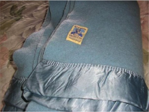 A folded wool blanket with satin trimming. The blanket
        is powder blue, and has a square label.