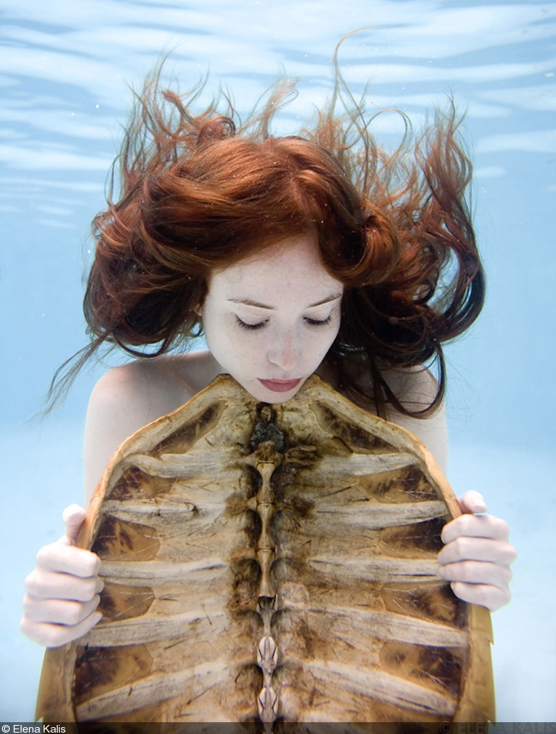 Figure 4. “Underwater_elena_kalis21” by Elena Kalis (n.d.). Reprinted
          with permission. Against a light blue underwater backdrop, a girl holds
          a tortoise shell in front of her chest. The underside of the tortoise shell
          is exposed showing the ossification of its spine and ribs. The girl’s auburn-red
          hair swirls around her head.