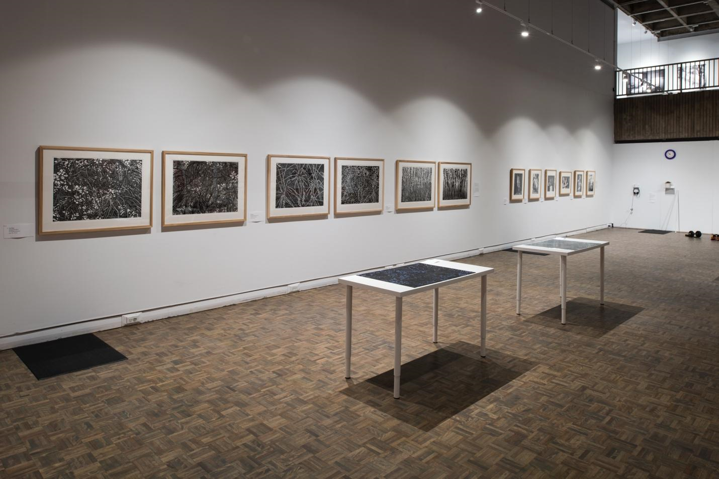 Bodies in Translation: Age and Creativity - Installation View